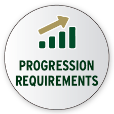 Icon for progression requirements