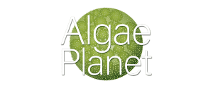 Algae Planet logo
